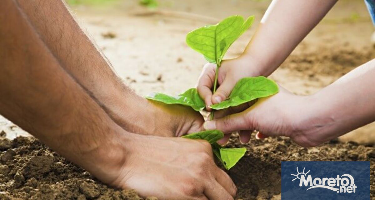 Символичен протест с послание за по добра градска среда ще се