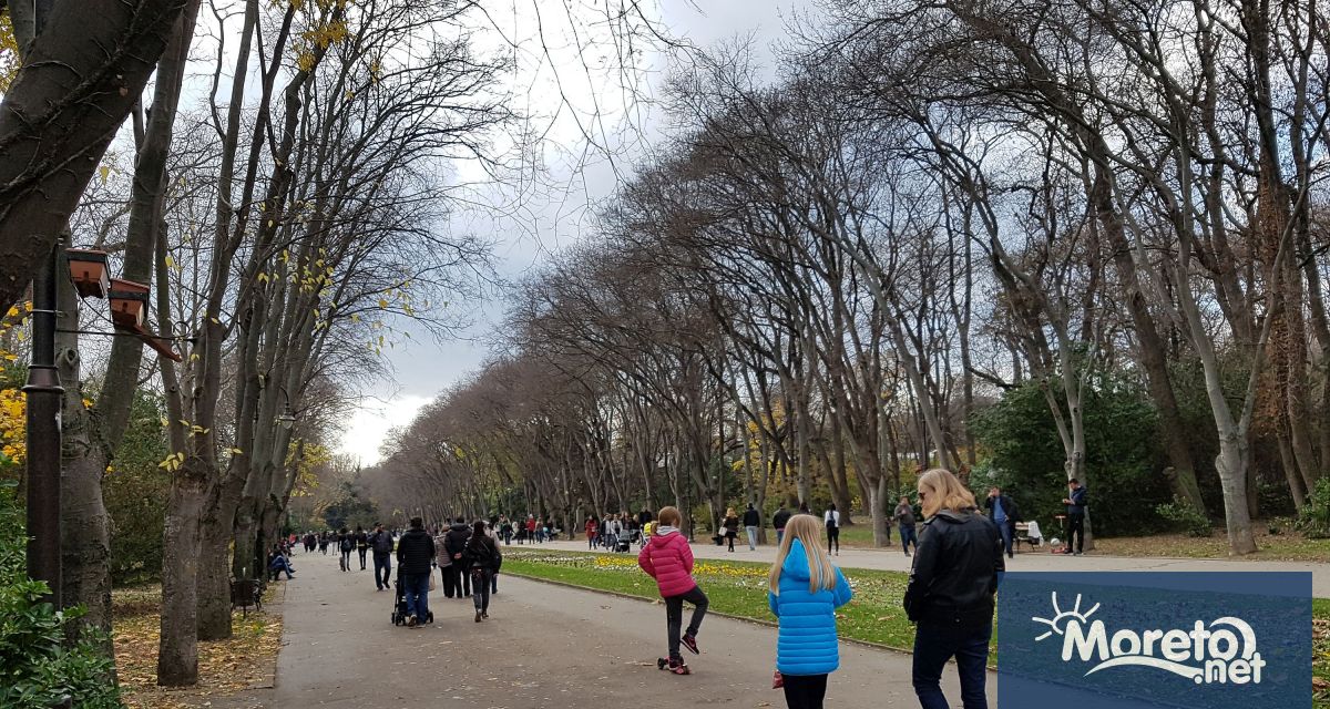 Междуведомствена комисия създадена със заповед на областния управител Андрияна Андреева