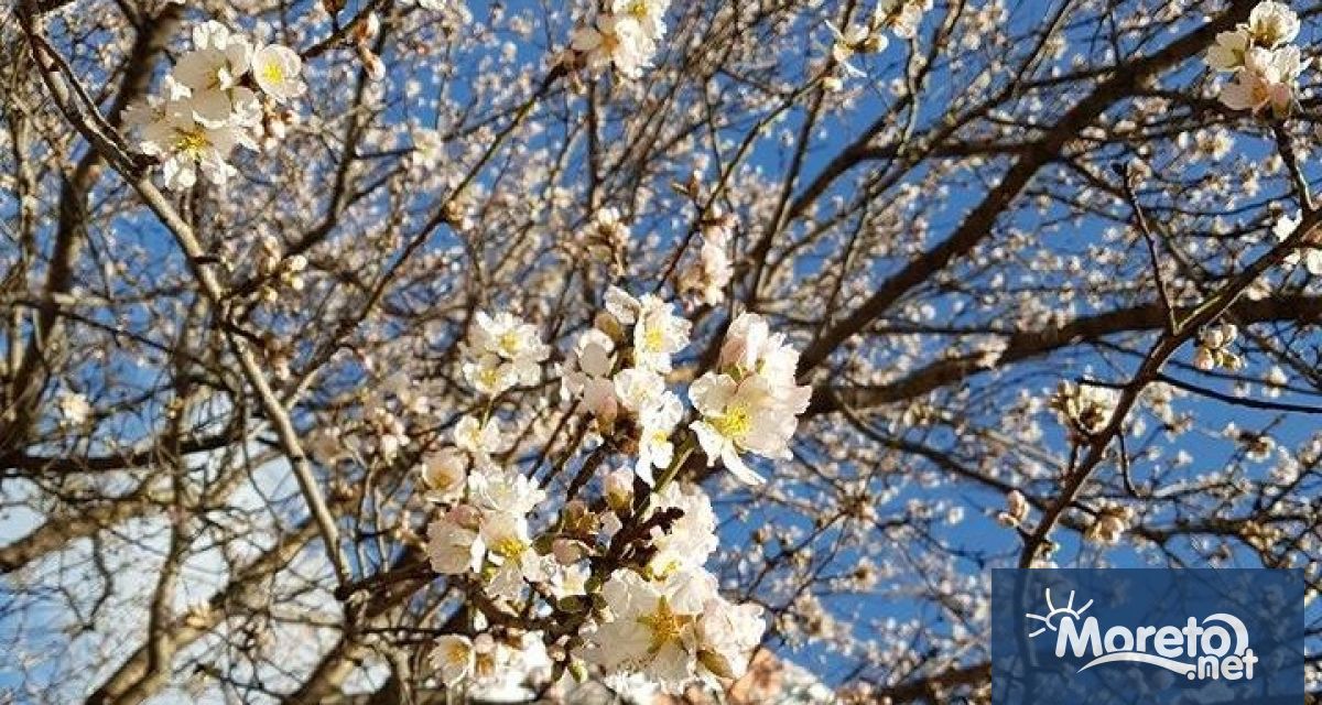 Тази година през март се очаква средната месечна температура да