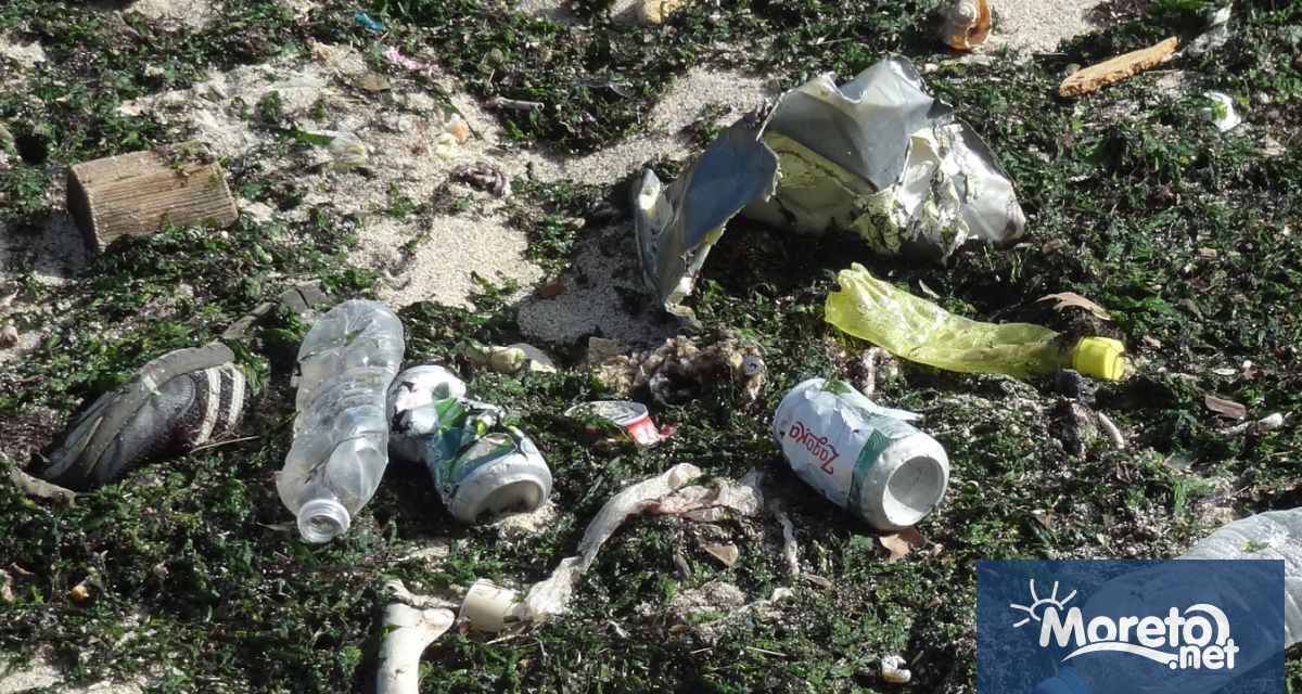 Почистване на акваторията на Варненското езеро организира морски клуб Приятели