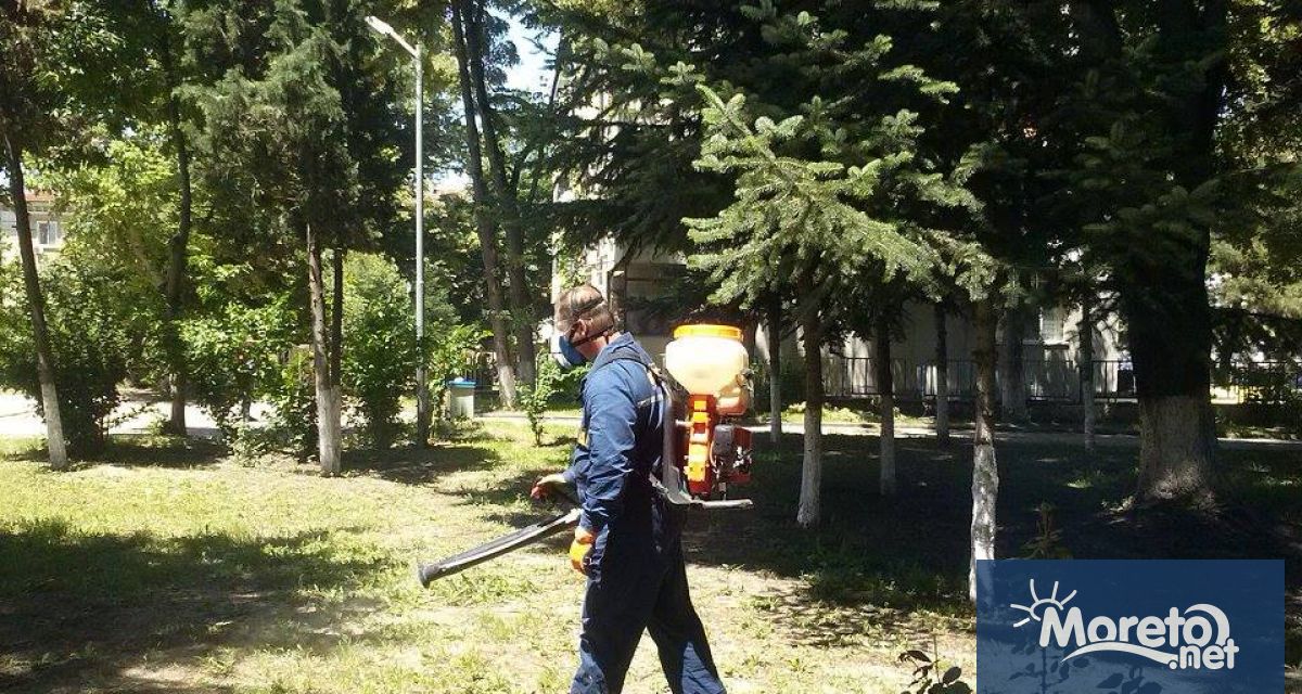 Общинско предприятие Дезинфекция дезинсекция дератизация ДДД започва първата за годината