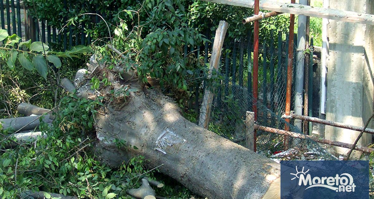 Глоба от 1000 лева е наложена на варненската фирма Б