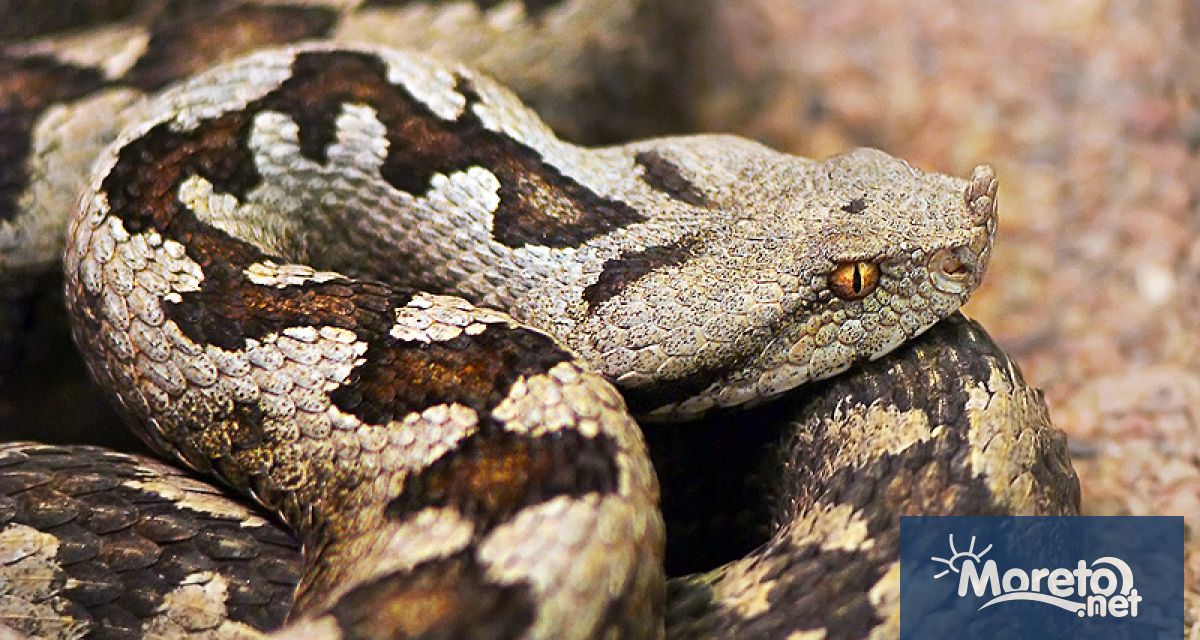 Окръжната прокуратура във Велико Търново води разследване по сигнал за