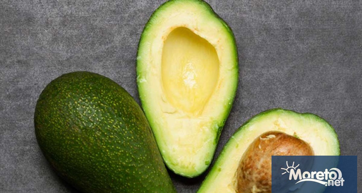 Най големият производител на авокадо в света Мексико заяви че