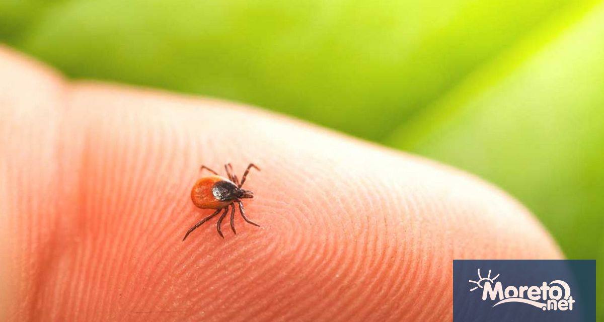 14 случаи на ухапани от кърлежи са регистрирани от Регионалната