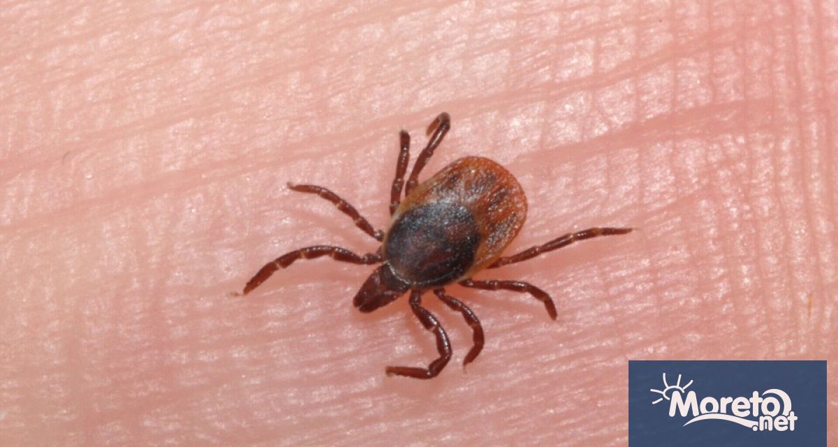 В сезона на активност на кърлежите РЗИ – Варна напомня