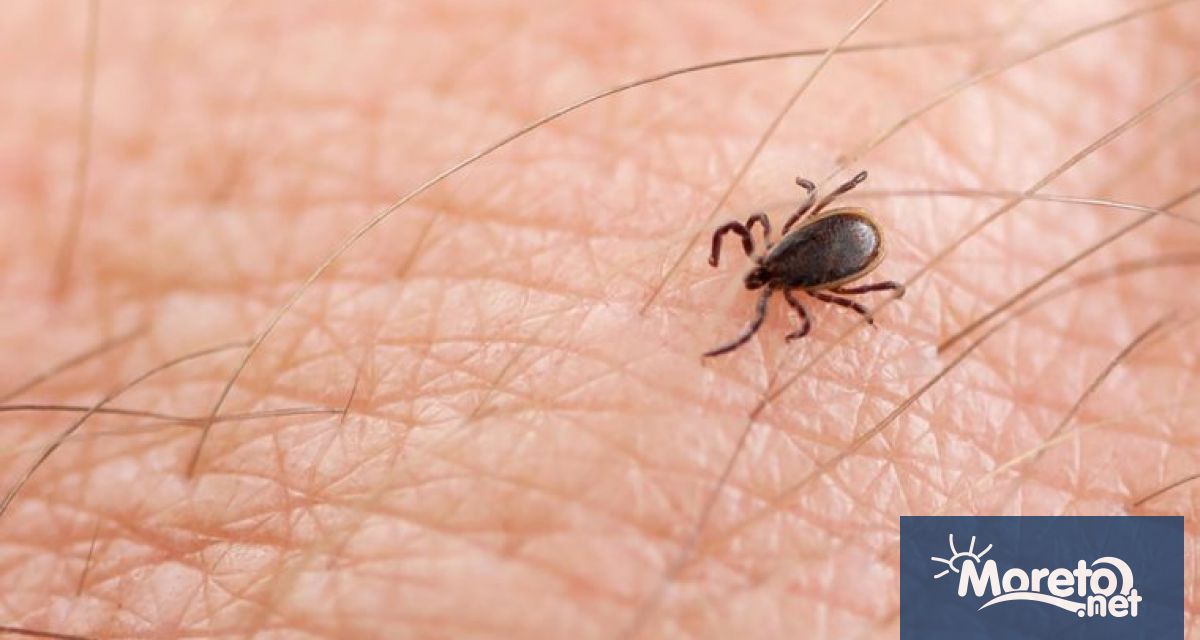 Кърлежи вече няма да се изследват в Националния център за