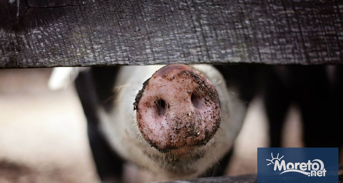 Европейският орган за безопасност на храните ЕОБХ за четвърта поредна