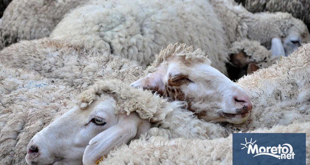 Районната прокуратура във Варна привлече към наказателна отговорност и задържа