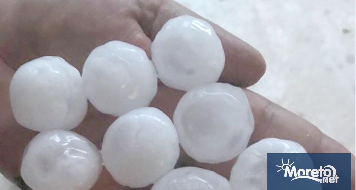 Държавата ще подпомогне със 700 хил лева земеделските стопани от