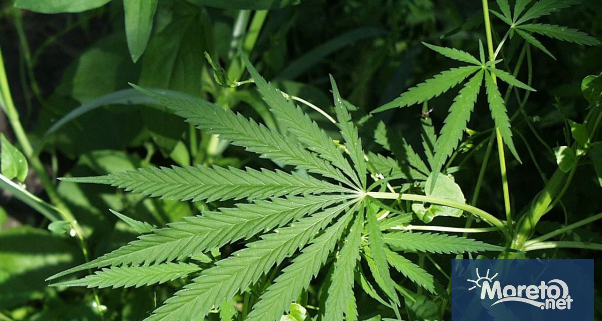 27 годишен немски гражданин е бил задържан вчера във Варна При