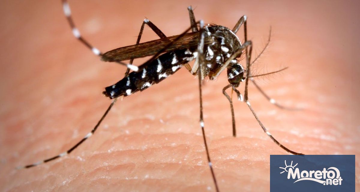 Продължава нарастването на случаите на западнонилска треска в Гърция съобщава