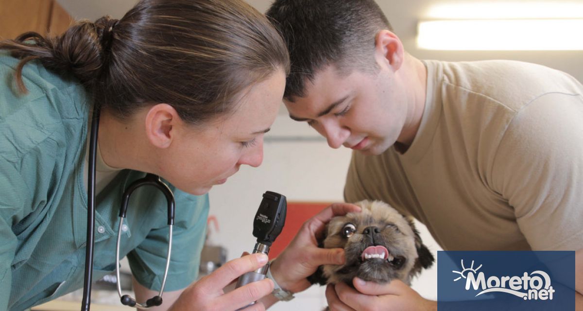 Камара на практикуващите ветеринарни лекари в България ще бъде учредена