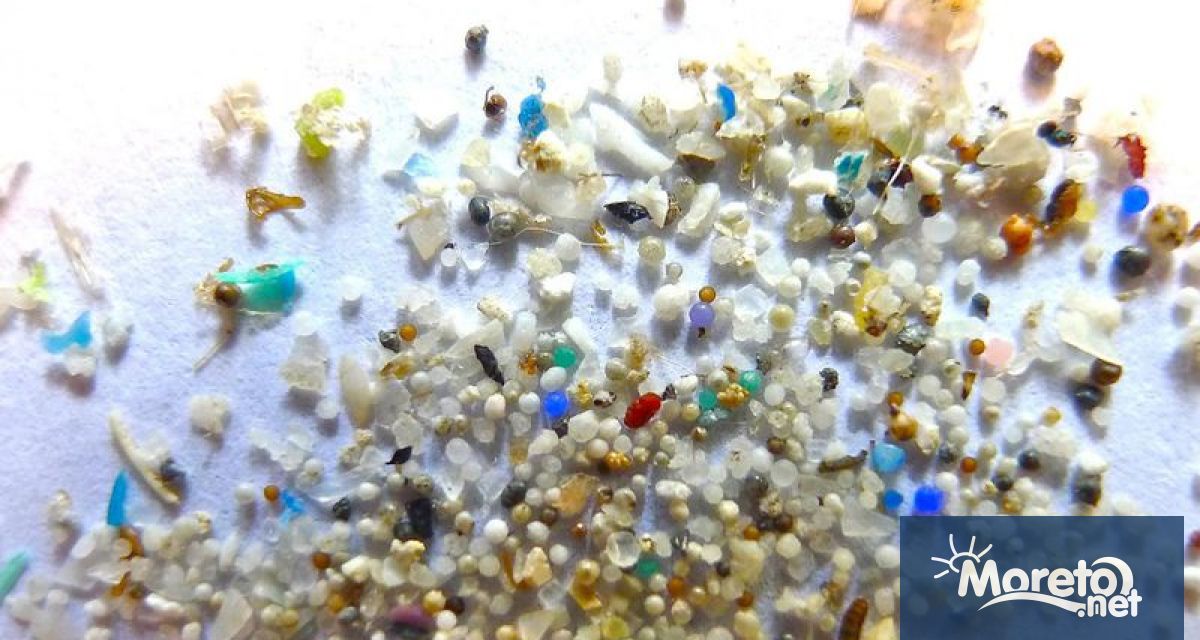 Микропластмасата може да предизвика продоволствена криза защото натрупана в почвата