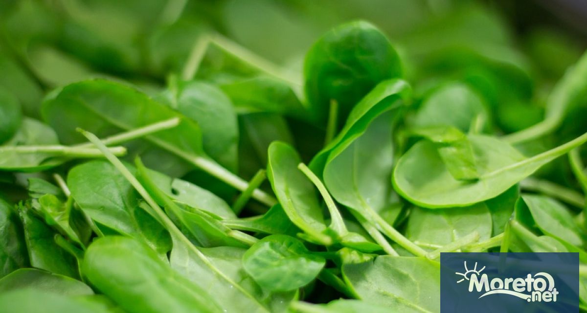 Много хора са изложени на стрес а той води до