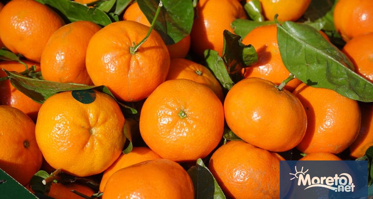 Инспектори на дирекция Граничен контрол към Българската агенция по безопасност