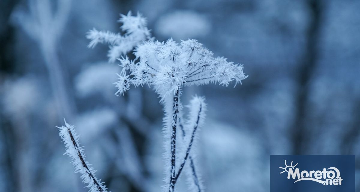 В 11 20 часа 21 декември ще настъпи зимното слънцестоене с