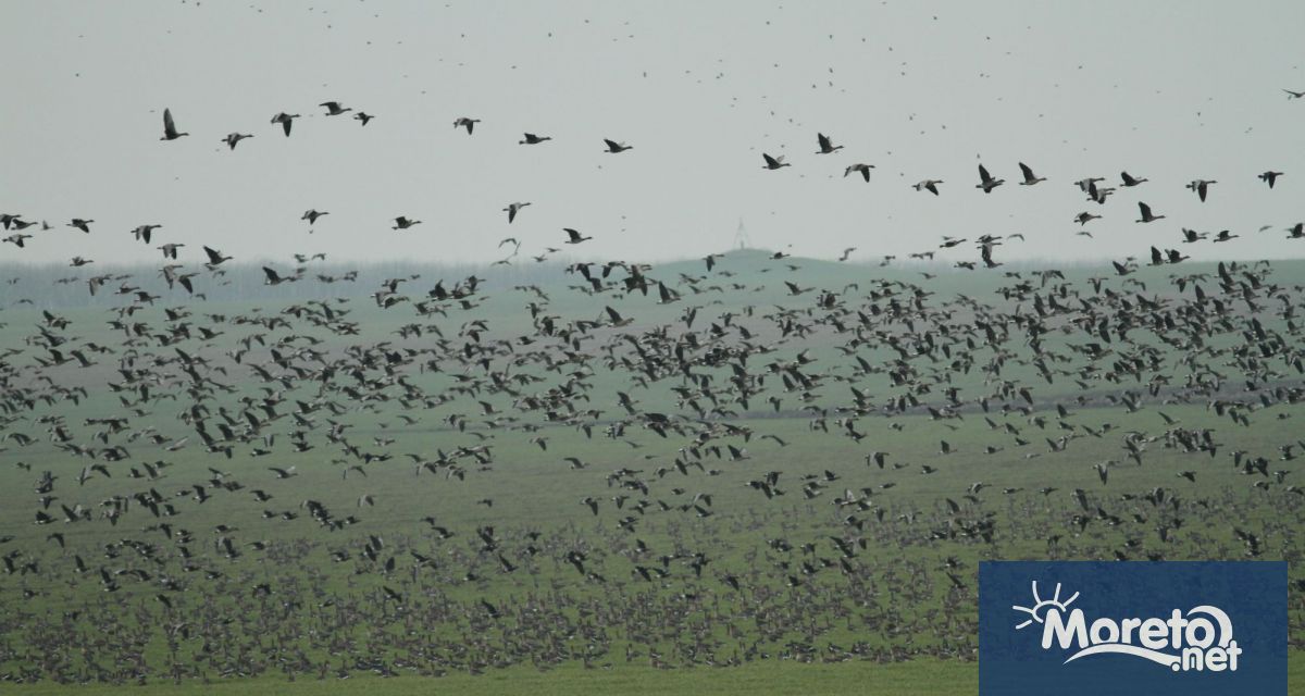 Съдът на Европейския съюз ЕС се произнесе днес по дело