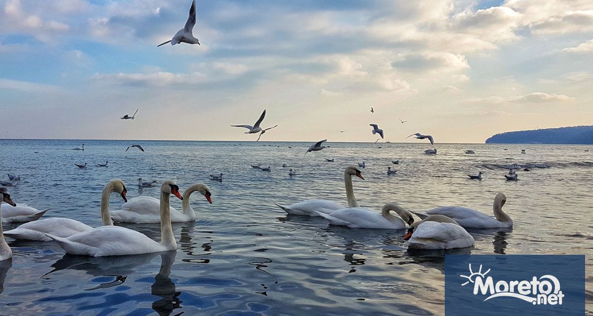 По Черноморието ще има временни увеличения на облачността но само