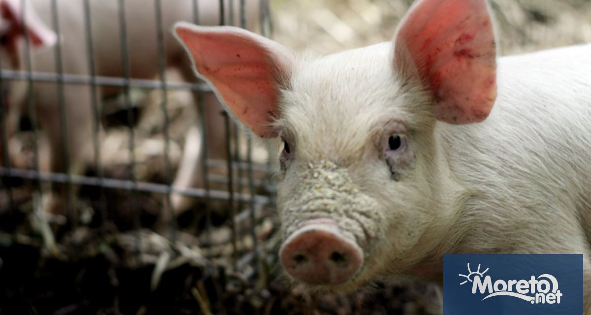 Българската агенция по безопасност на храните БАБХ и Българския ветеринарен