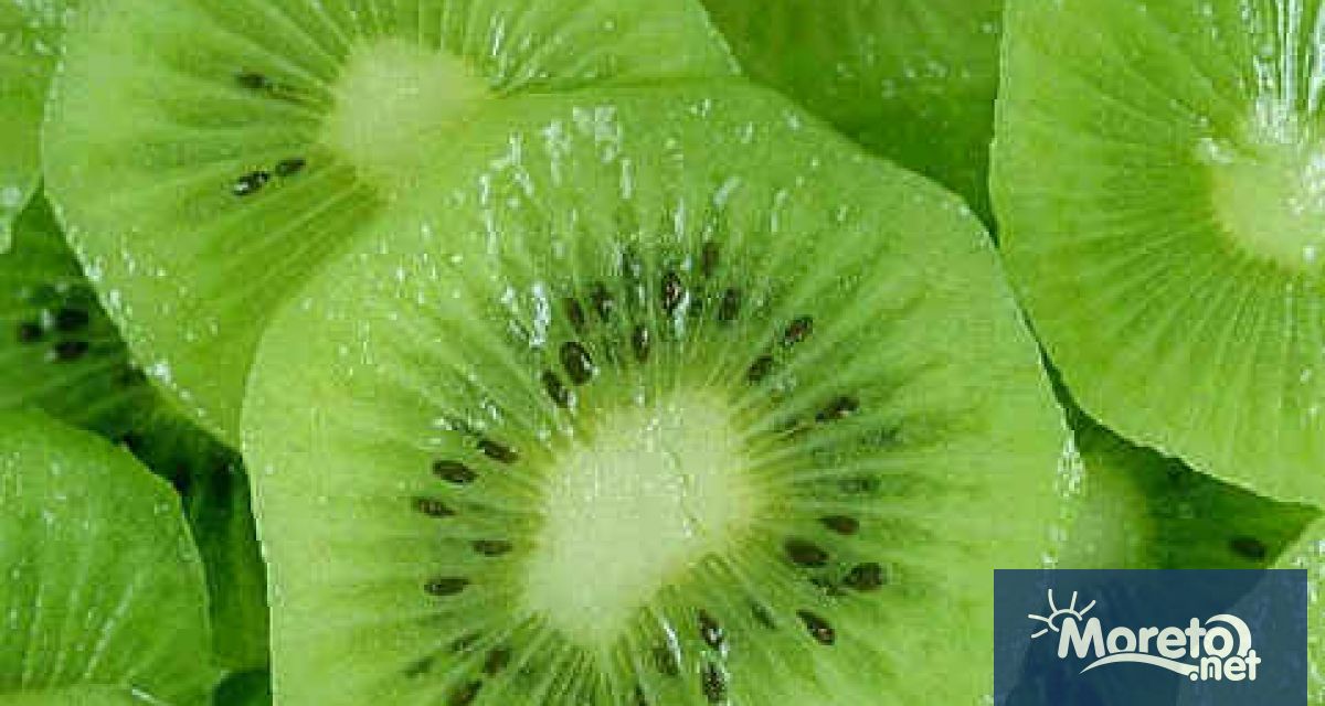 Кивито е един от плодовете които трябва да присъстват в