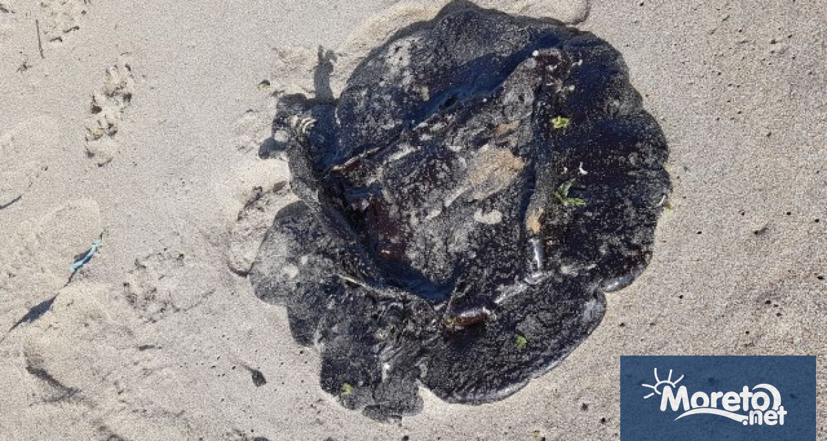 РИОСВ – Бургас извърши проверка по сигнал за мазутни петна