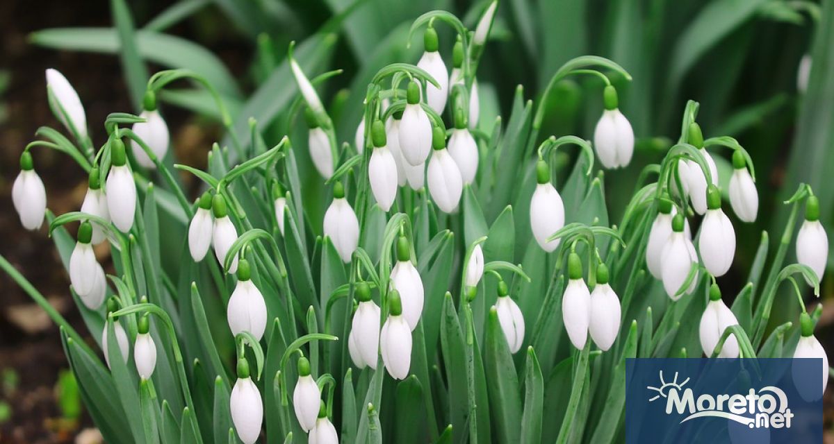 На 6 март Църквата почита паметта на всички смели мъже