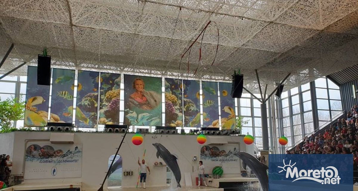 Делфинариум Варна обяви че всички деца до 12 години ще
