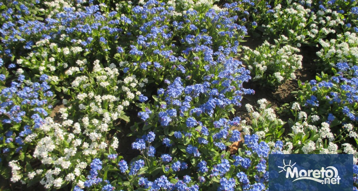 Днес 25 май е последният ден в който граждани институции