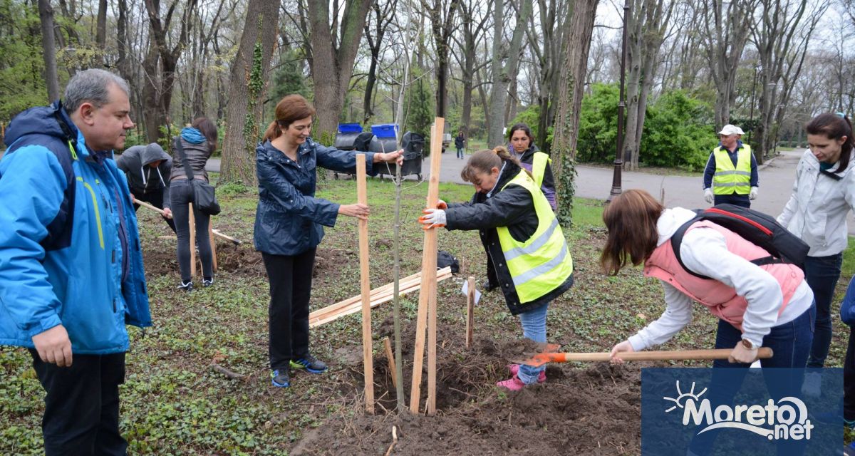 Петър Дишков който е експерт в сектор дървообработване и добри