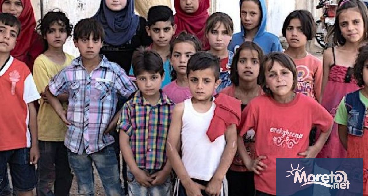 Световната програма по прехраната на ООН ще намали почти наполовина