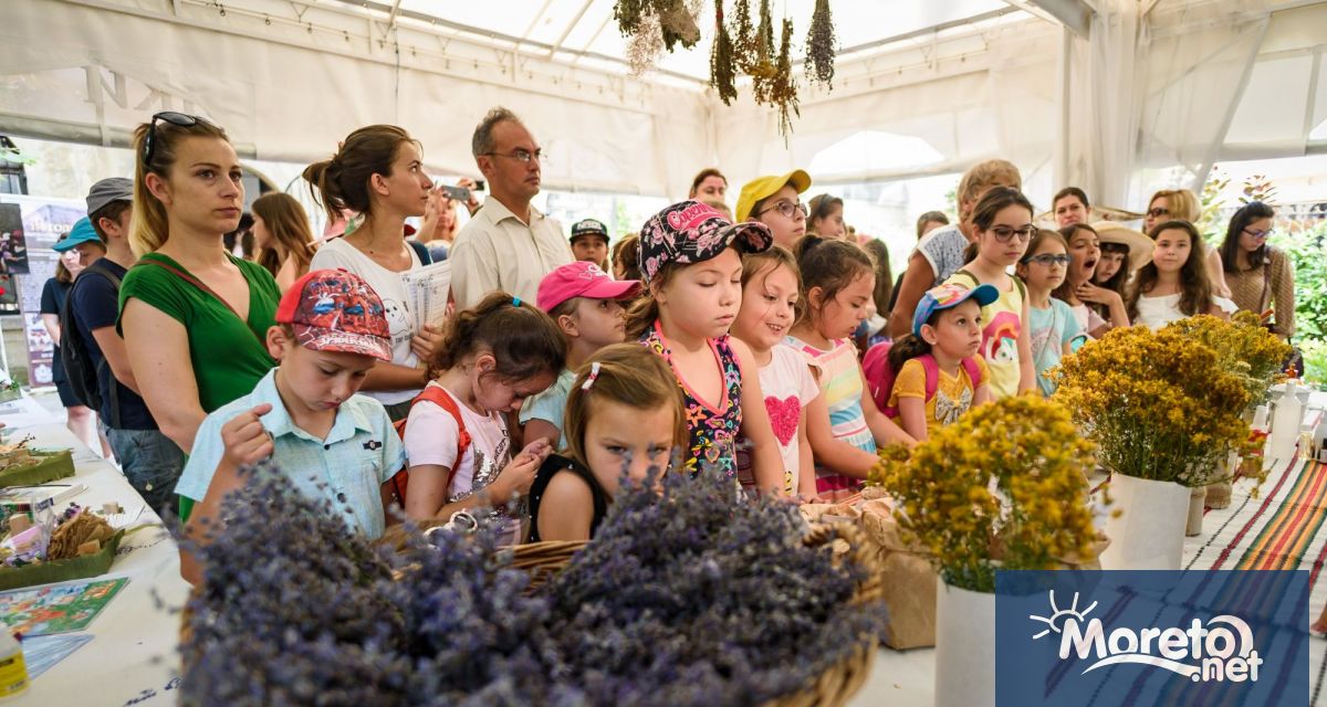 Образователна и творческа програма ще се проведе на 24 юни