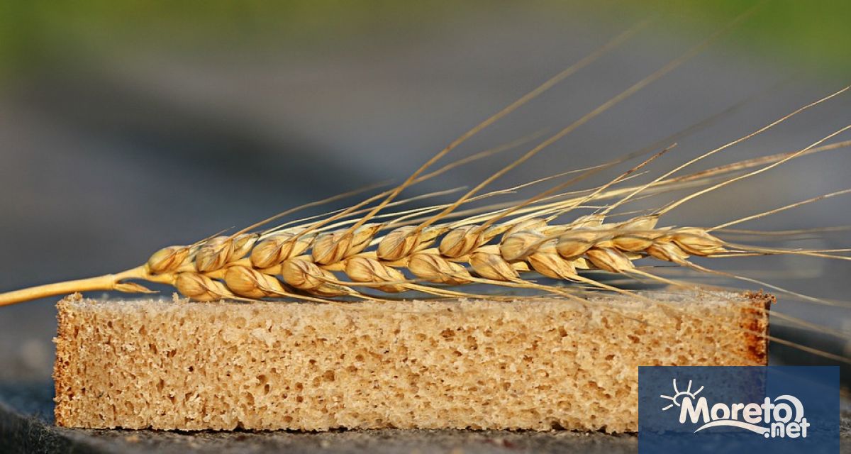 Въведените ограничения засягат вноса на пшеница, мед, млечни и месни