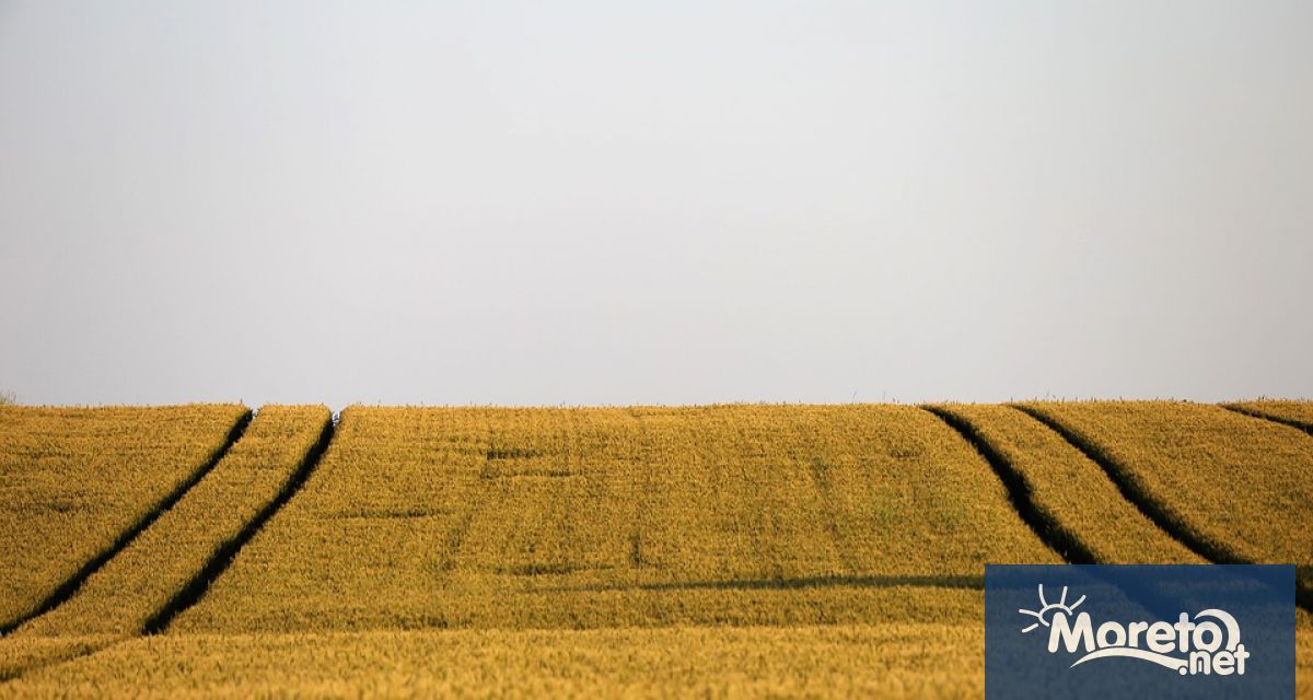 Националната асоциация на зърнопроизводителите не одобрява забраната за износ на