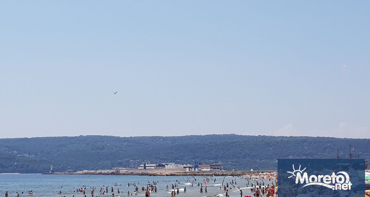 3491 инспекции по направлението Защита на икономическите интереси на потребителите