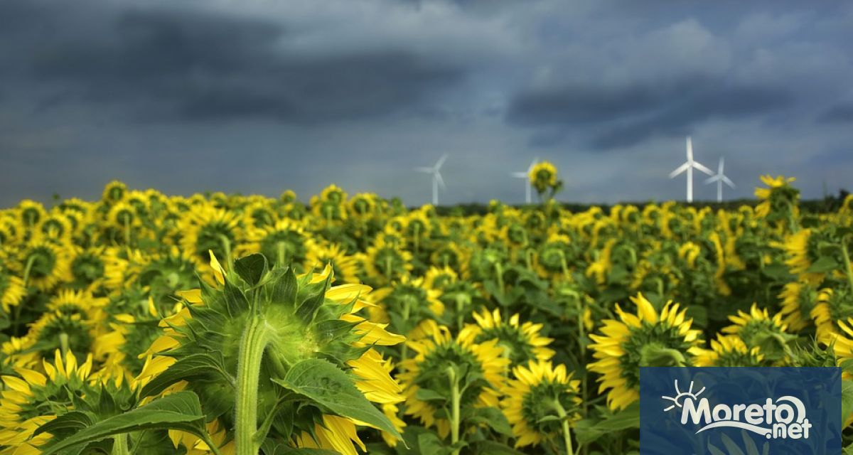Селскостопанският сектор един от най основните икономически сектори за растежа и