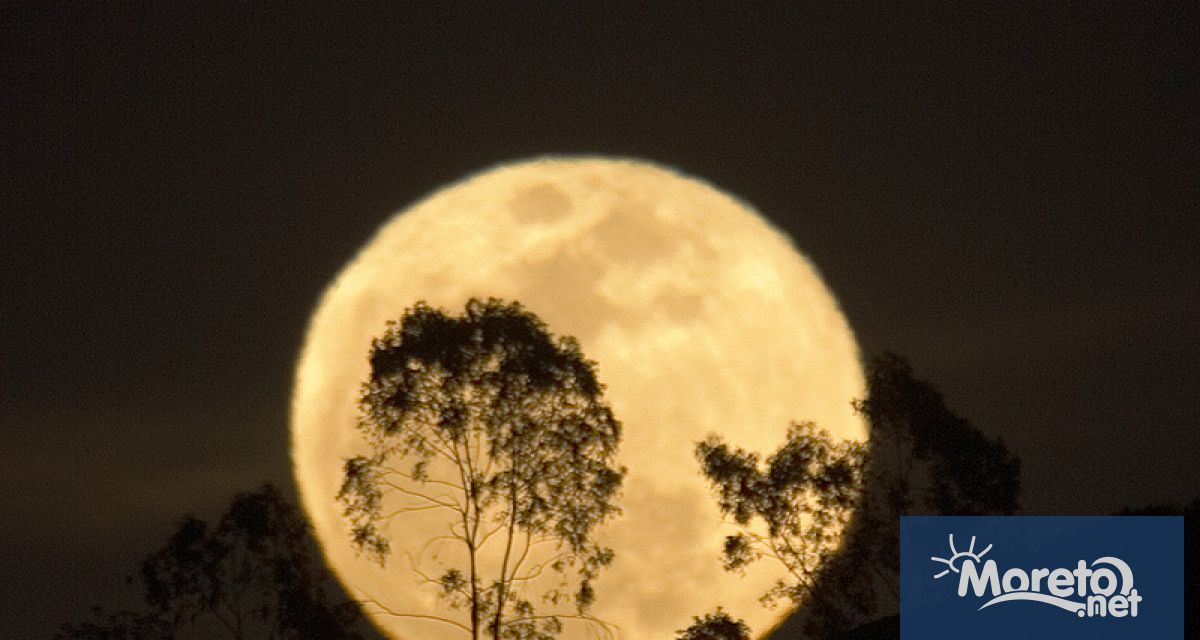 Тази нощ ще можем и у нас да наблюдаваме първата