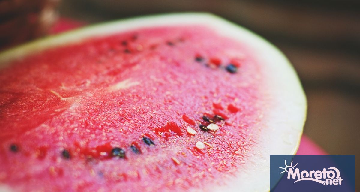 Лабораторните анализи извършени върху партида с дини в петък 07 07 2023