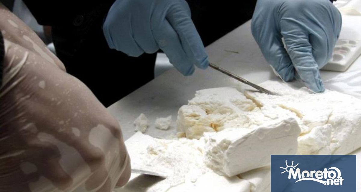 Белгийската полиция откри в петък близо 700 килограма кокаин в