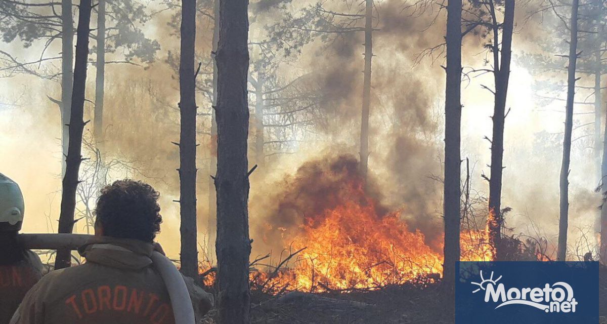 Два отделни горски пожара избухнаха вчера следобед в районите Сеферхисар