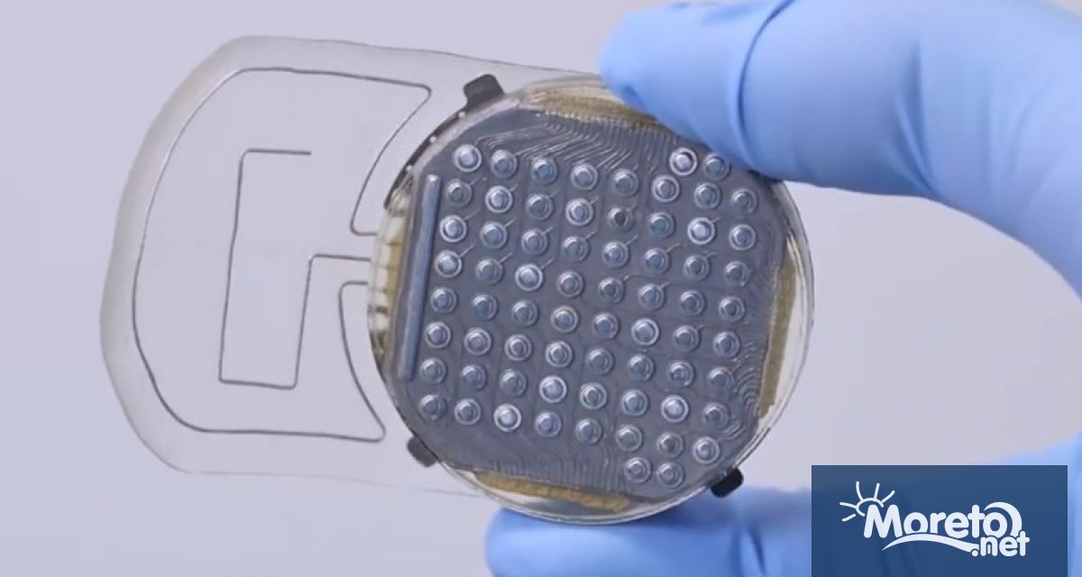 Фирмата за мозъчни чипове на Илон Мъск съобщи че е