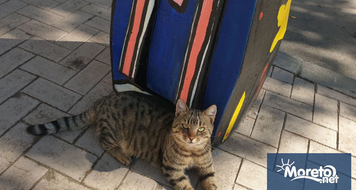 Общински съвет реши да отложи гледането на точка от дневния