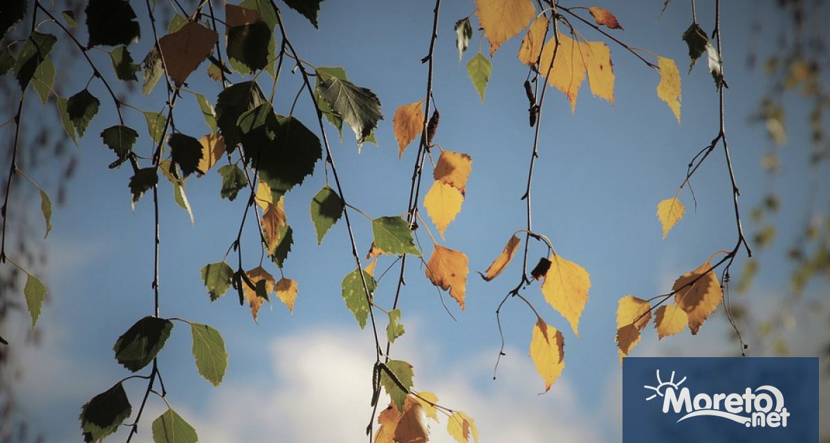 Тази нощ над по голямата част от страната ще се изясни