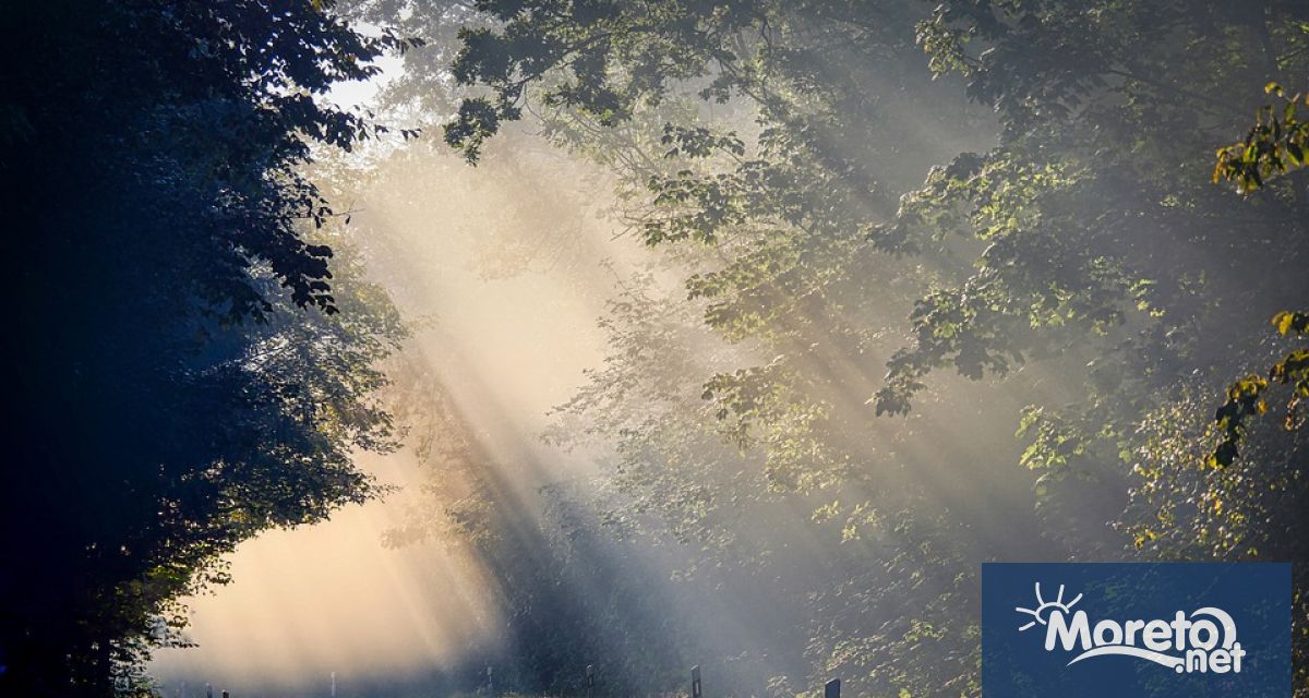 Тази нощ ще бъде ясно Вятърът в повечето райони ще