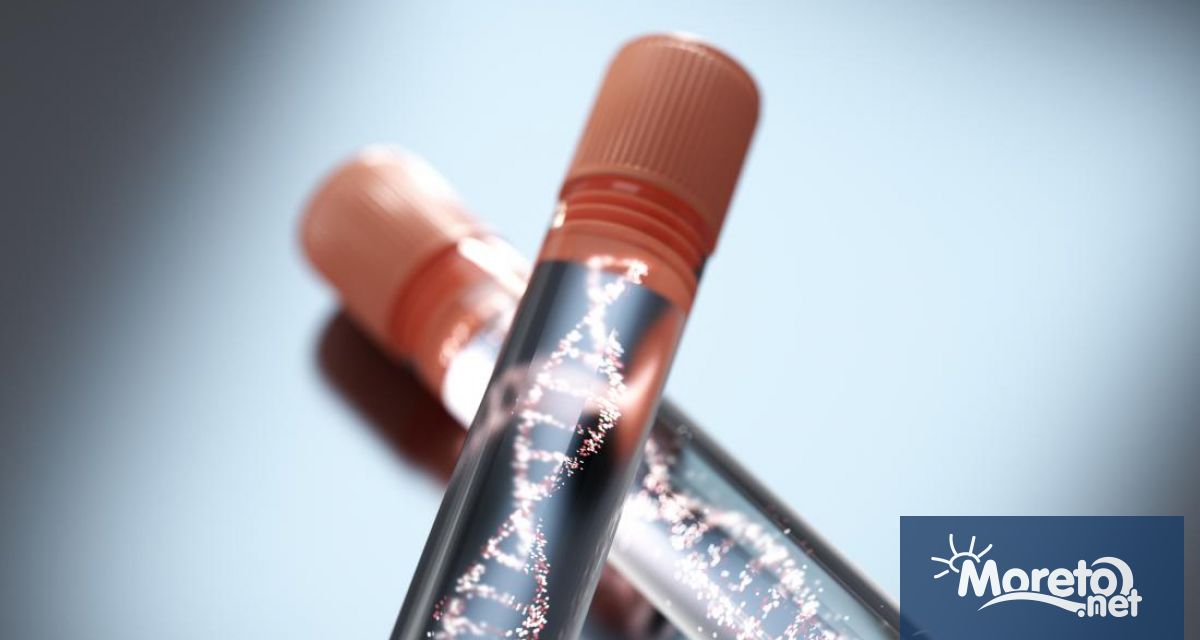 Българите румънците и хърватите имат най голям процент славянски гени на