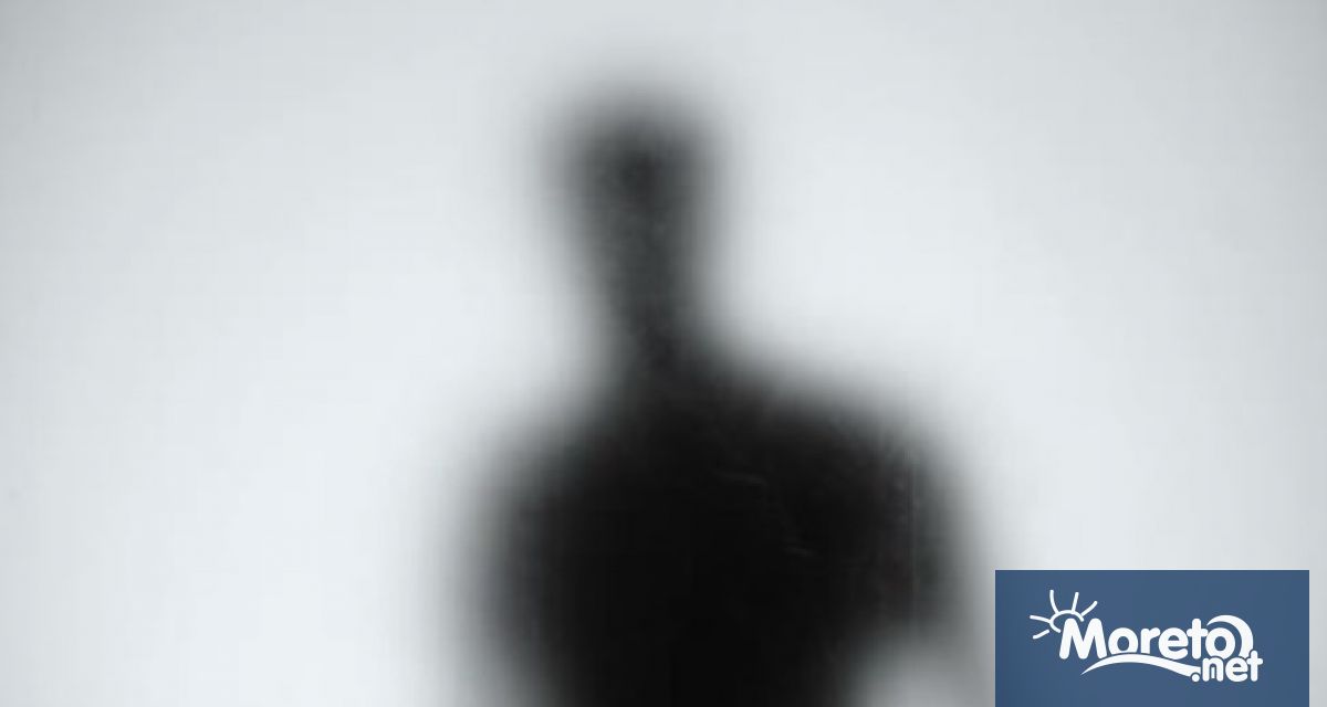 Учените успяха да създадат органоидни тестиси известни още като