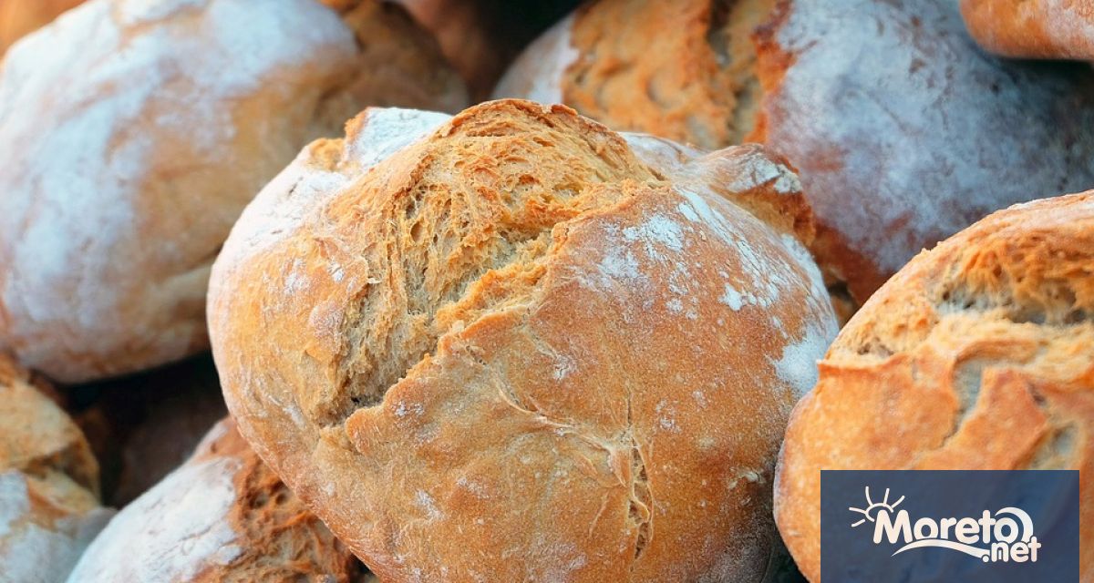 Ако с настоящата минимална работна заплата от 1077 лв малката