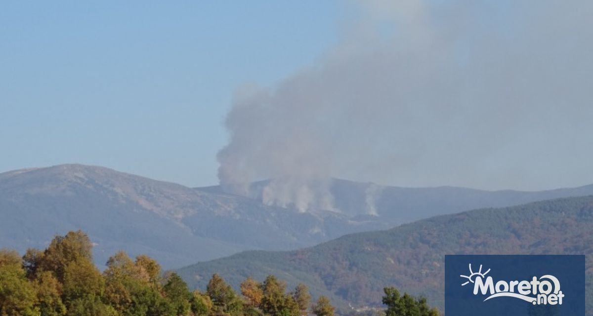 Пожар гори в района на язовир Калин в Рила съобщават