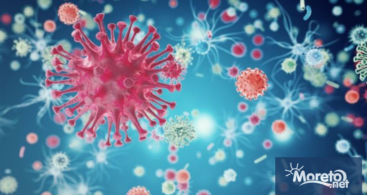 Американка болна от левкемия стана първата жена в историята успешно