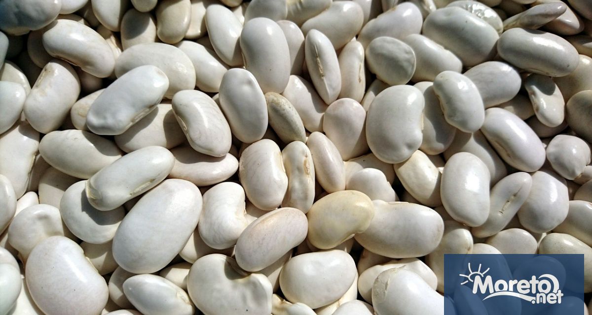 Сред съседните на Турция държави България е вторият по големина